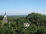 Tikal, Pyramiden ragen aus dem Wald